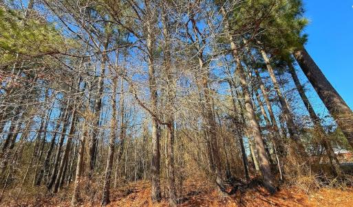 Photo #31 of off Hwy 305, Rich Square, NC 1.0 acres
