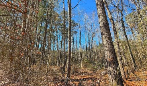 Photo #32 of off Hwy 305, Rich Square, NC 1.0 acres