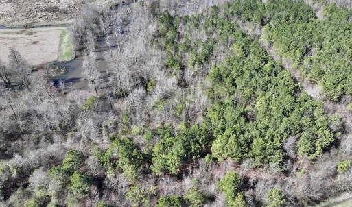 Photo #11 of SOLD property in Off South Grimesland Bridge Road, Grimesland, NC 16.0 acres