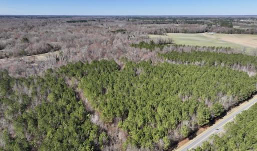 Photo #12 of SOLD property in Off South Grimesland Bridge Road, Grimesland, NC 16.0 acres