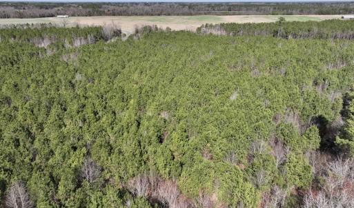 Photo #16 of SOLD property in Off South Grimesland Bridge Road, Grimesland, NC 16.0 acres