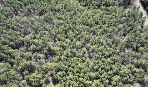 Photo #19 of SOLD property in Off South Grimesland Bridge Road, Grimesland, NC 16.0 acres