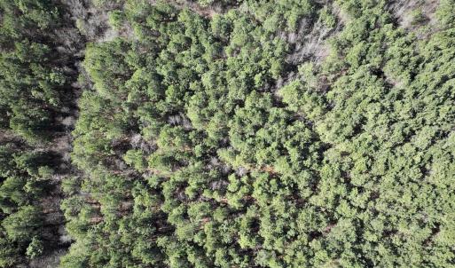 Photo #20 of SOLD property in Off South Grimesland Bridge Road, Grimesland, NC 16.0 acres