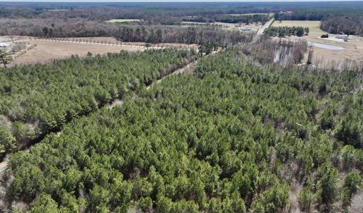 Photo #4 of SOLD property in Off South Grimesland Bridge Road, Grimesland, NC 16.0 acres