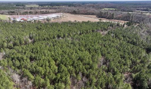 Photo #5 of SOLD property in Off South Grimesland Bridge Road, Grimesland, NC 16.0 acres