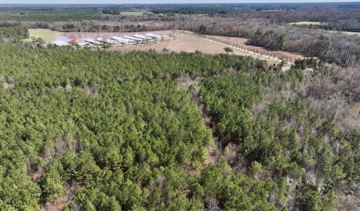Photo #6 of SOLD property in Off South Grimesland Bridge Road, Grimesland, NC 16.0 acres