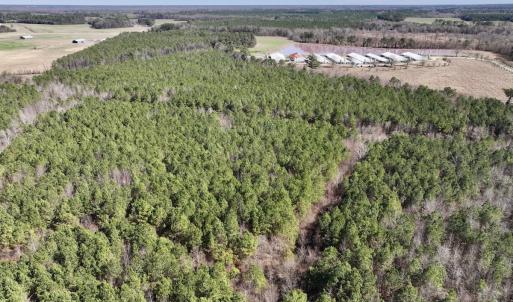 Photo #7 of SOLD property in Off South Grimesland Bridge Road, Grimesland, NC 16.0 acres