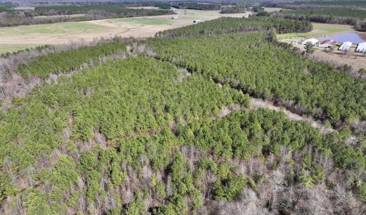 Photo #8 of SOLD property in Off South Grimesland Bridge Road, Grimesland, NC 16.0 acres