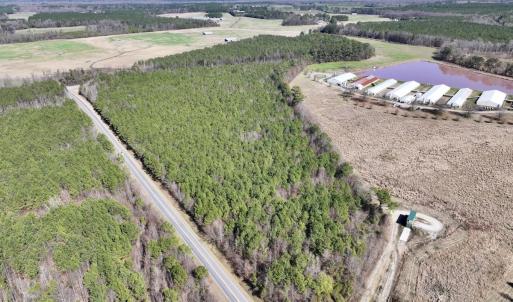 Photo #2 of SOLD property in Off South Grimesland Bridge Road, Grimesland, NC 22.7 acres