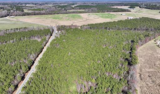 Photo #11 of SOLD property in Off South Grimesland Bridge Road, Grimesland, NC 22.7 acres