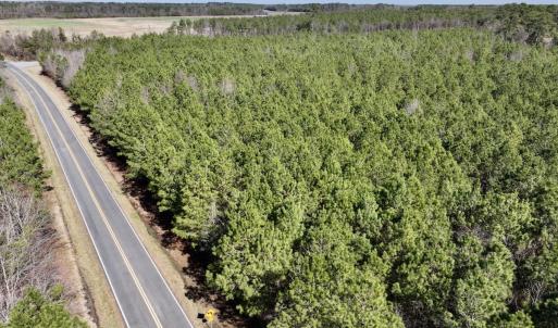 Photo #13 of SOLD property in Off South Grimesland Bridge Road, Grimesland, NC 22.7 acres
