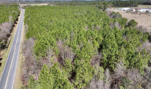 Photo #14 of SOLD property in Off South Grimesland Bridge Road, Grimesland, NC 22.7 acres