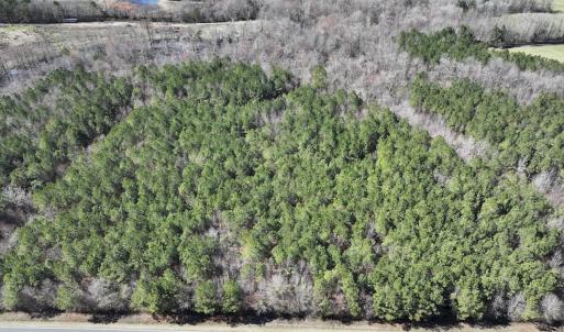 Photo #15 of SOLD property in Off South Grimesland Bridge Road, Grimesland, NC 22.7 acres