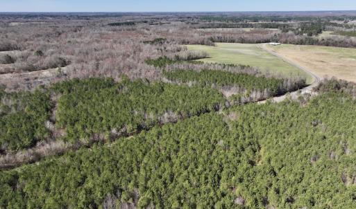 Photo #18 of SOLD property in Off South Grimesland Bridge Road, Grimesland, NC 22.7 acres