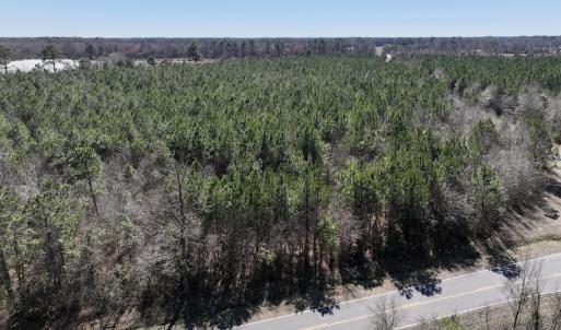 Photo #19 of SOLD property in Off South Grimesland Bridge Road, Grimesland, NC 22.7 acres