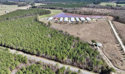 Photo #3 of SOLD property in Off South Grimesland Bridge Road, Grimesland, NC 22.7 acres