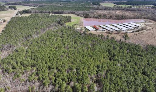 Photo #4 of SOLD property in Off South Grimesland Bridge Road, Grimesland, NC 22.7 acres