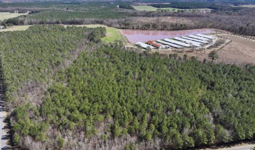 Photo #5 of SOLD property in Off South Grimesland Bridge Road, Grimesland, NC 22.7 acres