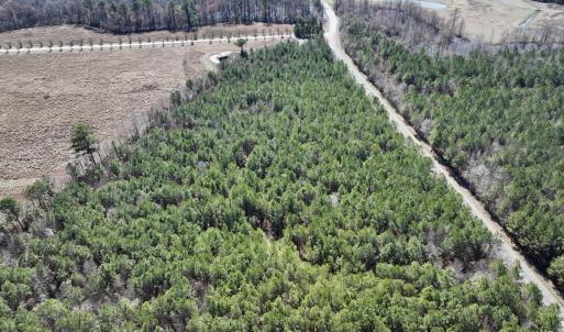 Photo #8 of SOLD property in Off South Grimesland Bridge Road, Grimesland, NC 22.7 acres
