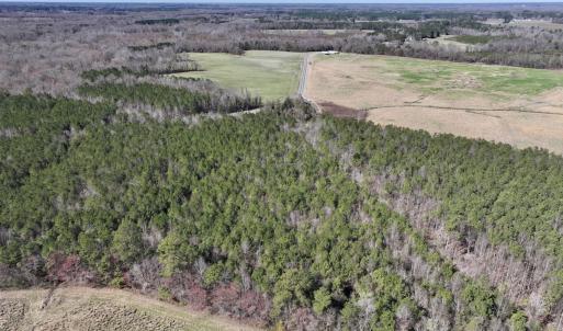 Photo #9 of SOLD property in Off South Grimesland Bridge Road, Grimesland, NC 22.7 acres