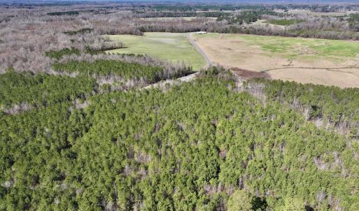 Photo #10 of SOLD property in Off South Grimesland Bridge Road, Grimesland, NC 22.7 acres