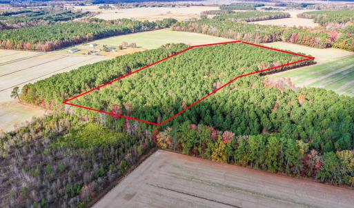 Photo #2 of SOLD property in Off Schoolhouse Rd, Elizabeth City, NC 15.8 acres