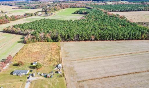 Photo #10 of SOLD property in Off Schoolhouse Rd, Elizabeth City, NC 15.8 acres