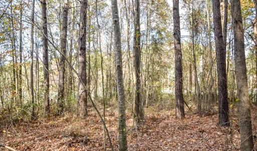Photo #11 of SOLD property in Off Schoolhouse Rd, Elizabeth City, NC 15.8 acres