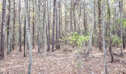 Photo #12 of SOLD property in Off Schoolhouse Rd, Elizabeth City, NC 15.8 acres