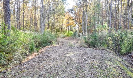 Photo #4 of SOLD property in Off Schoolhouse Rd, Elizabeth City, NC 15.8 acres