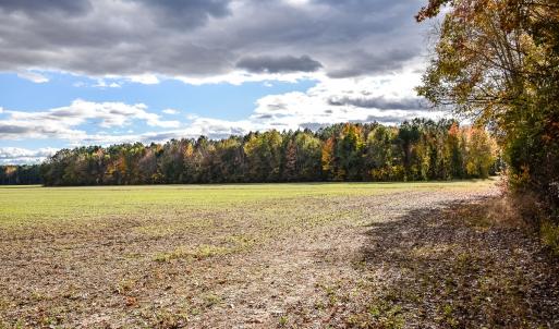 Photo #5 of SOLD property in Off Schoolhouse Rd, Elizabeth City, NC 15.8 acres