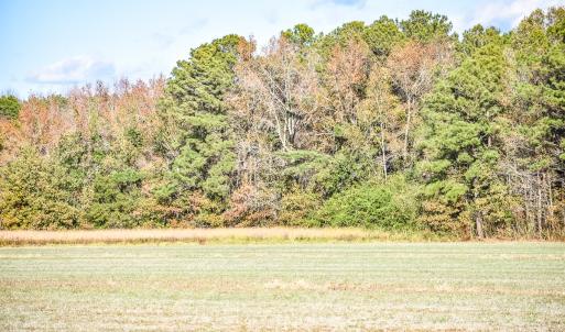 Photo #6 of SOLD property in Off Schoolhouse Rd, Elizabeth City, NC 15.8 acres
