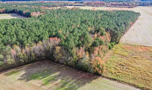 Photo #7 of SOLD property in Off Schoolhouse Rd, Elizabeth City, NC 15.8 acres