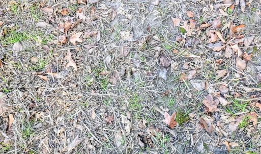 Photo #8 of SOLD property in Off Schoolhouse Rd, Elizabeth City, NC 15.8 acres