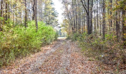 Photo #9 of SOLD property in Off Schoolhouse Rd, Elizabeth City, NC 15.8 acres