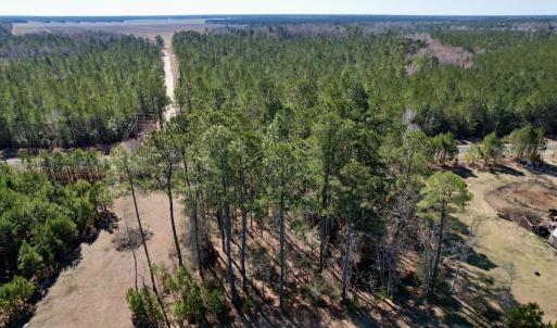 Photo #12 of Off Ward Town Road S, Whiteville, NC 1.0 acres