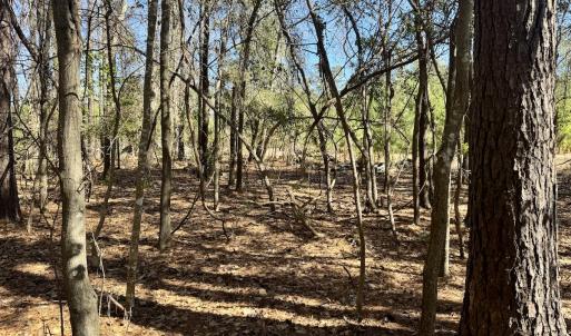 Photo #20 of Off Ward Town Road S, Whiteville, NC 1.0 acres
