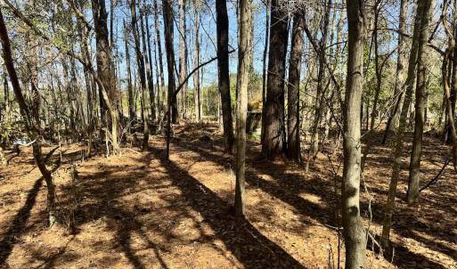 Photo #21 of Off Ward Town Road S, Whiteville, NC 1.0 acres