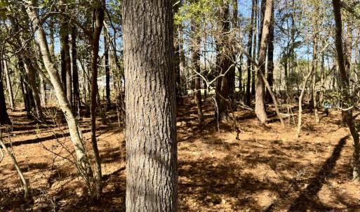 Photo #22 of Off Ward Town Road S, Whiteville, NC 1.0 acres