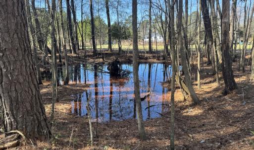 Photo #24 of Off Ward Town Road S, Whiteville, NC 1.0 acres