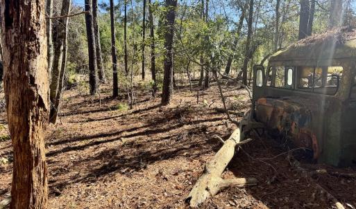 Photo #25 of Off Ward Town Road S, Whiteville, NC 1.0 acres