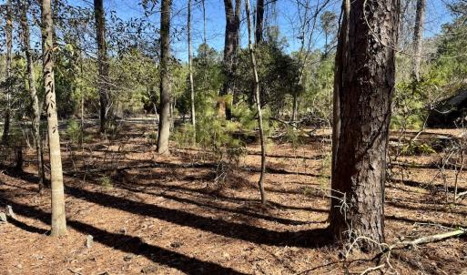 Photo #26 of Off Ward Town Road S, Whiteville, NC 1.0 acres