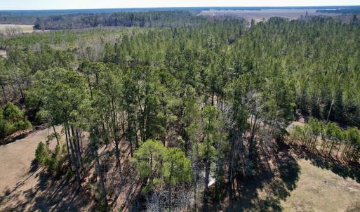 Photo #4 of Off Ward Town Road S, Whiteville, NC 1.0 acres