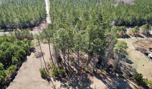 Photo #6 of Off Ward Town Road S, Whiteville, NC 1.0 acres