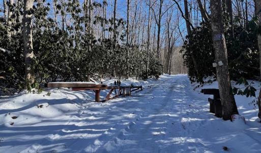 Photo #3 of Off Buckhorn Mt Ln, Rocky Gap, VA 64.0 acres