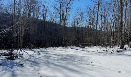 Photo #5 of Off Buckhorn Mt Ln, Rocky Gap, VA 64.0 acres