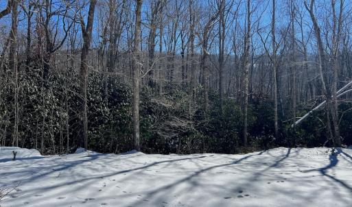 Photo #7 of Off Buckhorn Mt Ln, Rocky Gap, VA 64.0 acres