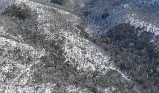 Photo #10 of Off Buckhorn Mt Ln, Rocky Gap, VA 64.0 acres