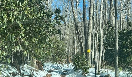 Photo #16 of Off Buckhorn Mt Ln, Rocky Gap, VA 64.0 acres