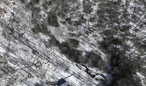 Photo #27 of Off Buckhorn Mt Ln, Rocky Gap, VA 64.0 acres